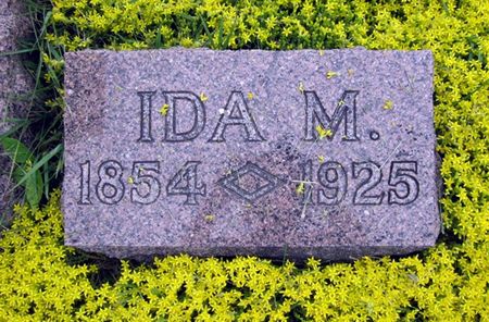 AUSTIN, IDA MAE - Fayette County, Iowa | IDA MAE AUSTIN 