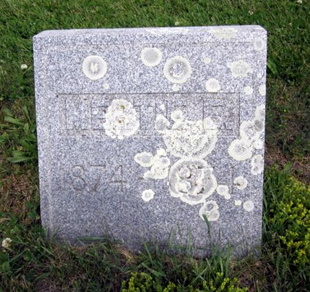 AUSTIN, MERTIE - Fayette County, Iowa | MERTIE AUSTIN 