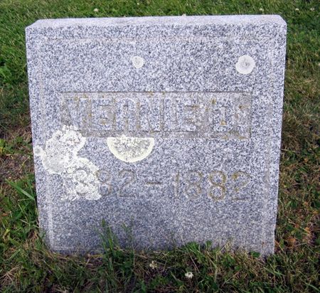 AUSTIN, VERNIE D. - Fayette County, Iowa | VERNIE D. AUSTIN 