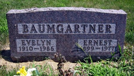 BAUMGARTNER, ERNEST - Fayette County, Iowa | ERNEST BAUMGARTNER 