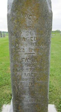 BELDEN, FAY - Fayette County, Iowa | FAY BELDEN 