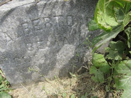 BEMAN, ALBERTO D. - Fayette County, Iowa | ALBERTO D. BEMAN 