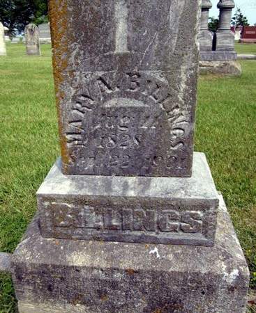 BILLINGS, MARY A. - Fayette County, Iowa | MARY A. BILLINGS 