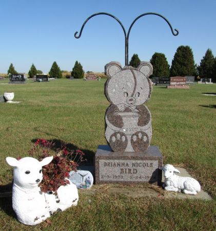 BIRD, BRIANNA NICOLE - Fayette County, Iowa | BRIANNA NICOLE BIRD 