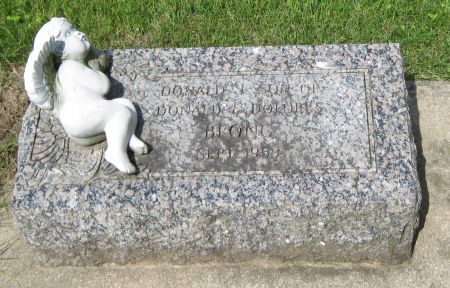 BLONG, DONALD J - Fayette County, Iowa | DONALD J BLONG 