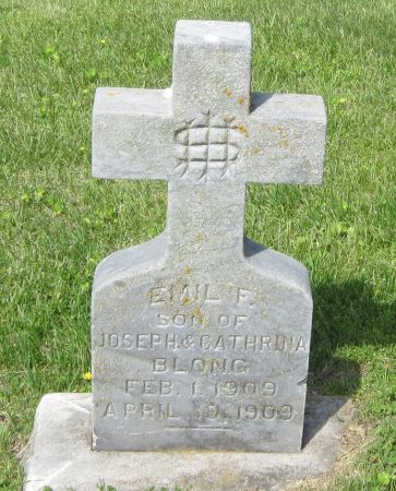 BLONG, EMIL F - Fayette County, Iowa | EMIL F BLONG 