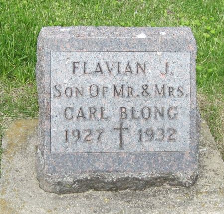 BLONG, FLAVIAN J - Fayette County, Iowa | FLAVIAN J BLONG 