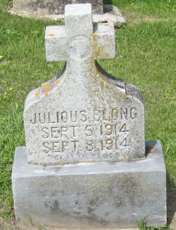 BLONG, JULIOUS - Fayette County, Iowa | JULIOUS BLONG 