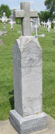 BLONG, KATHARINA - Fayette County, Iowa | KATHARINA BLONG 