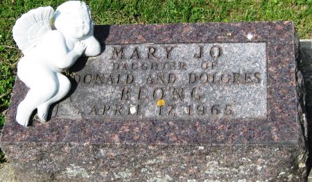 BLONG, MARY JO - Fayette County, Iowa | MARY JO BLONG 