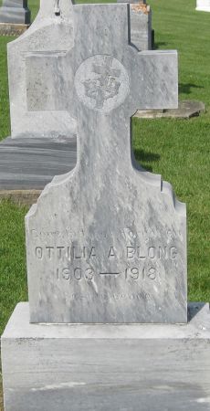 BLONG, OTTILIA A - Fayette County, Iowa | OTTILIA A BLONG 