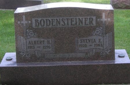 BODENSTEINER, SYLVIA E - Fayette County, Iowa | SYLVIA E BODENSTEINER 