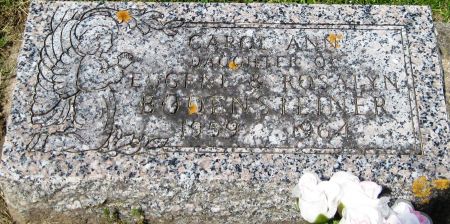 BODENSTEINER, CAROL ANN - Fayette County, Iowa | CAROL ANN BODENSTEINER 