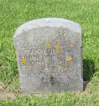 BODENSTEINER, VICTOR E - Fayette County, Iowa | VICTOR E BODENSTEINER 