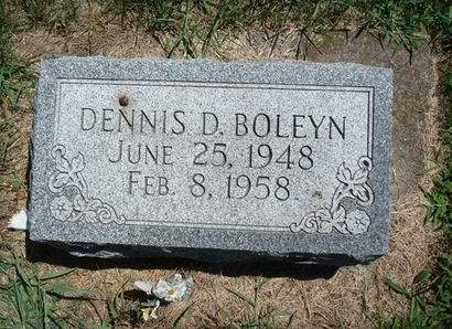 BOLEYN, DENNIS D. - Fayette County, Iowa | DENNIS D. BOLEYN 