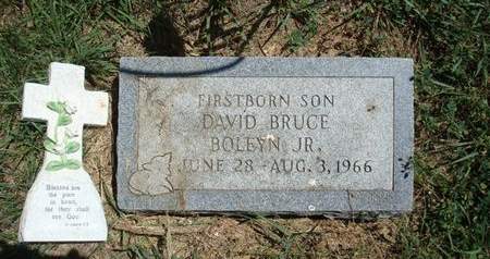 BOLEYN, DAVID BRUCE JR. - Fayette County, Iowa | DAVID BRUCE JR. BOLEYN 
