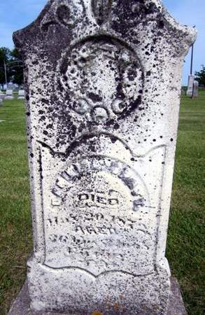 BRATT, DANIEL A. - Fayette County, Iowa | DANIEL A. BRATT 