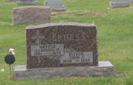 BRUESS, CAROLINE H - Fayette County, Iowa | CAROLINE H BRUESS 