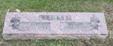 BRUESS, JOE - Fayette County, Iowa | JOE BRUESS 