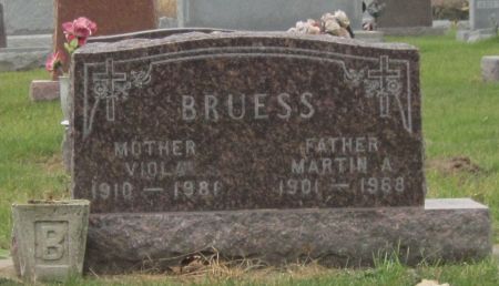 BRUESS, VIOLA - Fayette County, Iowa | VIOLA BRUESS 
