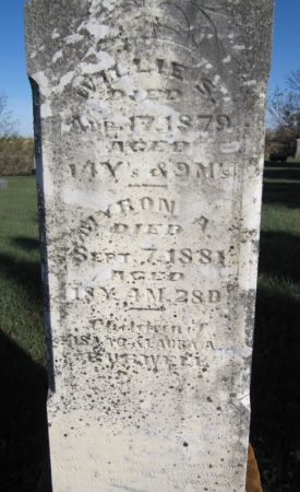 BURWELL, WILLIE S. - Fayette County, Iowa | WILLIE S. BURWELL 