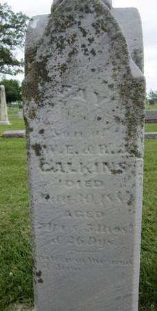 CALKINS, FAY - Fayette County, Iowa | FAY CALKINS 