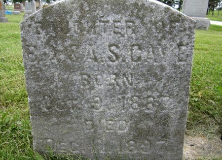 CAVE, DAUGHTER - Fayette County, Iowa | DAUGHTER CAVE 