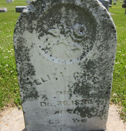 CAVE, ELIZA - Fayette County, Iowa | ELIZA CAVE 