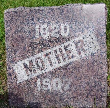 COATES, ALICE ANN - Fayette County, Iowa | ALICE ANN COATES 