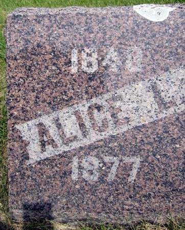 COATES, ALICE - Fayette County, Iowa | ALICE COATES 