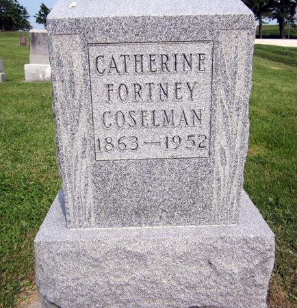 COSELMAN, CATHERINE - Fayette County, Iowa | CATHERINE COSELMAN 