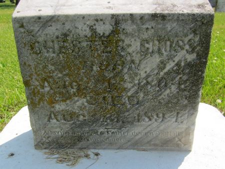 CROSS, CHESTER - Fayette County, Iowa | CHESTER CROSS 