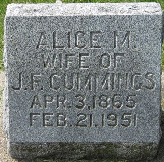 CUMMINGS, ALICE M. - Fayette County, Iowa | ALICE M. CUMMINGS 