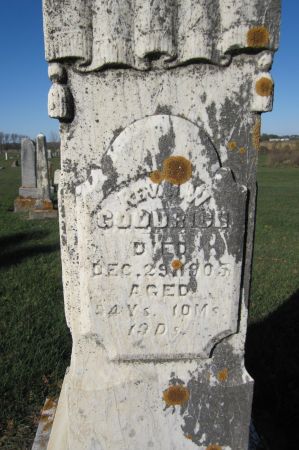 GOODRICH, REV. G.W. - Fayette County, Iowa | REV. G.W. GOODRICH 