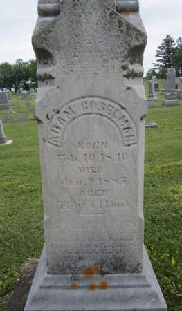 GOSELMAN, ADAM - Fayette County, Iowa | ADAM GOSELMAN 