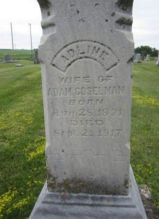 GOSELMAN, ADLINE - Fayette County, Iowa | ADLINE GOSELMAN 