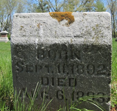 GRUVER, HAROLD - Fayette County, Iowa | HAROLD GRUVER 