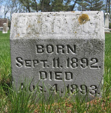 GRUVER, HARRY G. - Fayette County, Iowa | HARRY G. GRUVER 