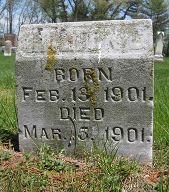 GRUVER, WALTON G. - Fayette County, Iowa | WALTON G. GRUVER 