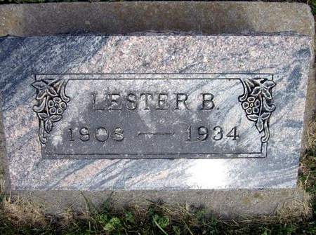 HALL, LESTER B. - Fayette County, Iowa | LESTER B. HALL 