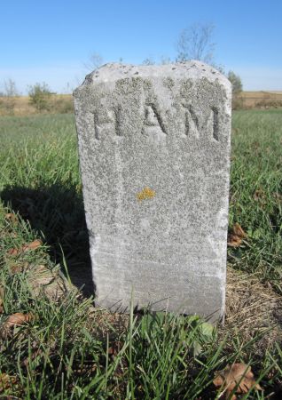 HAM, - - Fayette County, Iowa | - HAM 