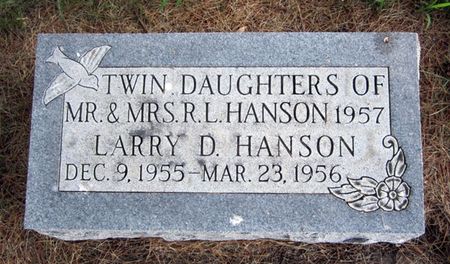 HANSON, TWIN DAUGHTERS - Fayette County, Iowa | TWIN DAUGHTERS HANSON 