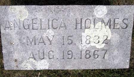 NEWMAN HOLMES, ANGELICA - Fayette County, Iowa | ANGELICA NEWMAN HOLMES 