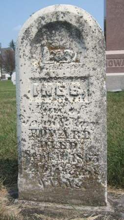 HOWARD, INES - Fayette County, Iowa | INES HOWARD 