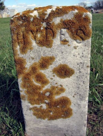 HYDES, - - Fayette County, Iowa | - HYDES 