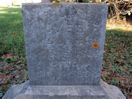 IVES, CAROLINE - Fayette County, Iowa | CAROLINE IVES 