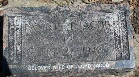 JURGENS JACOB, FANNIE JOHANNA - Fayette County, Iowa | FANNIE JOHANNA JURGENS JACOB 