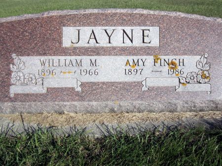 FINCH JAYNE, AMY - Fayette County, Iowa | AMY FINCH JAYNE 