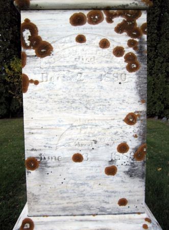 JOHNSON, ELLEN - Fayette County, Iowa | ELLEN JOHNSON 