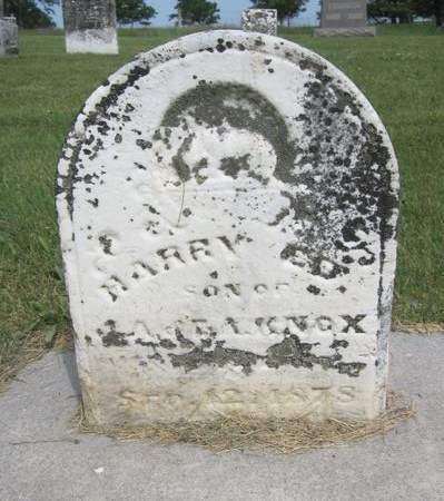 KNOX, HARRY - Fayette County, Iowa | HARRY KNOX 